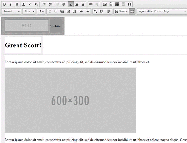 Insurance agent email builder