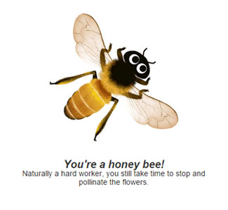 Honey Bee