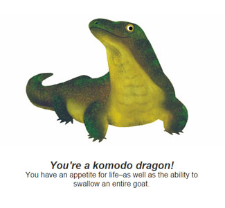 Komodo Dragon