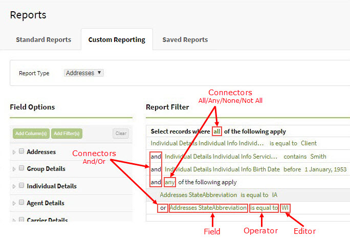 Screenshot showing the components of a custom report's filters